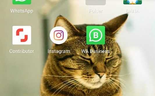Cara Menggunakan 2 akun Whatsapp di Samsung