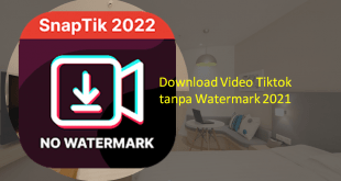 Download Video Tiktok tanpa Watermark 2021