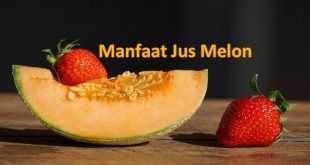 Manfaat Jus Melon